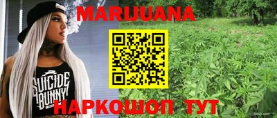 Альфа ПВП Гусев